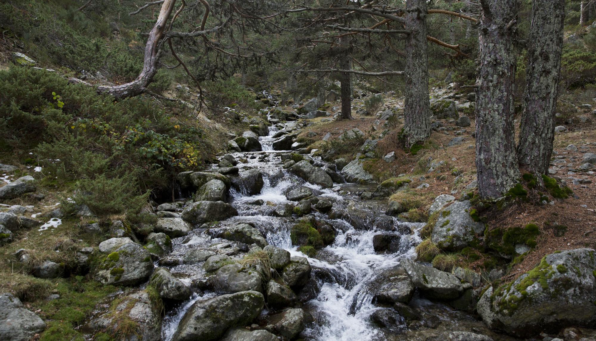 Rio Montaña El Paular